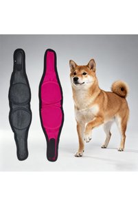 Related product image Choice Dog Training Products