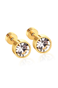 Related product image Choice Steel Earrings
