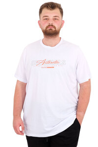Related product image Modexl T-Shirts