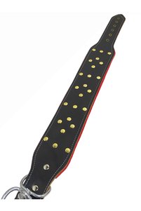 Related product image Sürmeli Tasma Dog Collars
