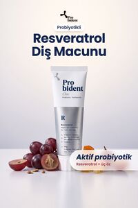Related product image Probident Toothpaste