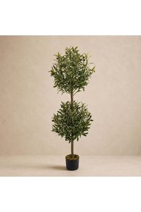 Related product image Danube Home Indoor Plants