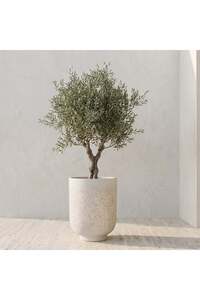 Related product image Danube Home Flower Pot