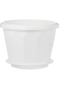 صورة المنتج ذات الصلة Cosmoplast صواني