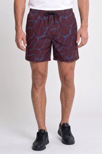 Related product image Stance Shorts