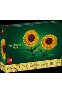 Related product image LEGO Building Sets & Block Toys