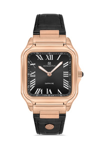 Related product image Momentus Watches