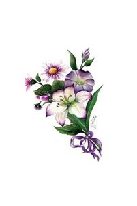 Related product image Cadence Boya Artistic Papers & Pens