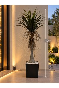 صورة المنتج ذات الصلة CENTRHOME أشجار خارجية