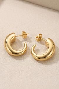 Related product image New Obsessions Steel Earrings