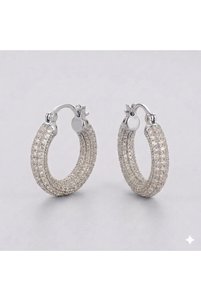Related product image Siya Silver Steel Earrings