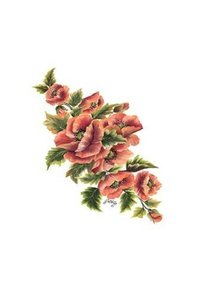Related product image Cadence Boya Artistic Papers & Pens