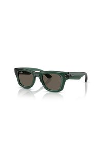 Related product image Ray-Ban Sunglasses