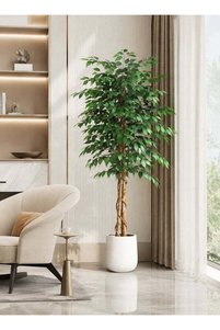 Related product image Generic Mirror