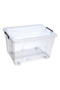 Related product image Generic Organizer