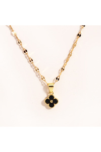 Related product image Choice Steel Necklaces