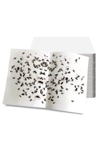 Related product image Choice Insecticide