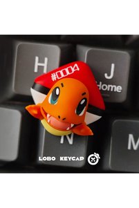 Related product image Choice Key Chains