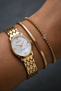Related product image Ferrucci Watches