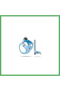 Related product image Curli Dog Collars