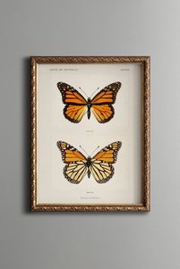 Related product image epiqart Paintings