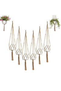 Related product image Choice Plant Stands
