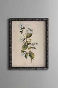 Related product image epiqart Paintings