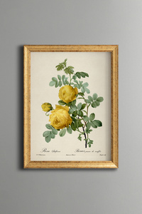 Related product image epiqart Paintings