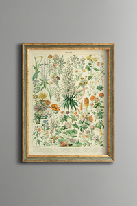 Related product image epiqart Paintings