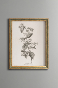 Related product image epiqart Paintings