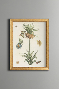 Related product image epiqart Paintings