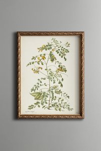 Related product image epiqart Paintings