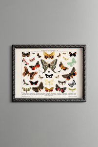 Related product image epiqart Paintings