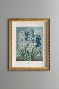 Related product image epiqart Paintings
