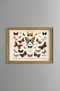 Related product image epiqart Paintings