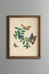 Related product image epiqart Paintings