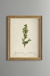 Related product image epiqart Paintings