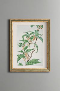 Related product image epiqart Paintings