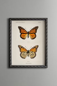 Related product image epiqart Paintings