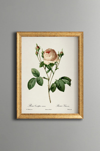 Related product image epiqart Paintings