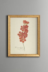 Related product image epiqart Paintings