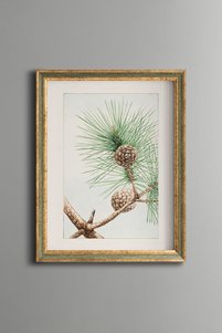 Related product image epiqart Paintings