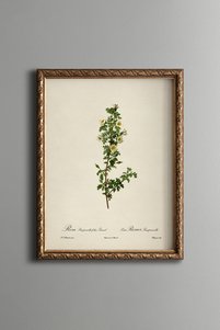 Related product image epiqart Paintings