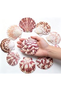 Related product image Generic Decorative Object & Figurine