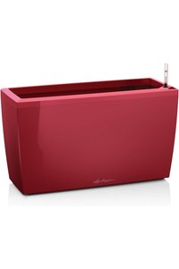 صورة المنتج ذات الصلة Generic سلّات