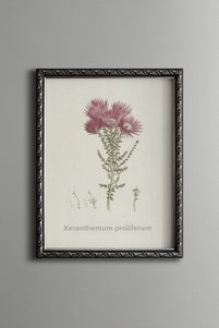 Related product image epiqart Paintings