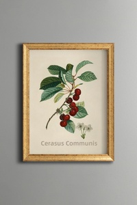 Related product image epiqart Paintings