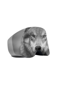 Related product image Choice Ski Goggles