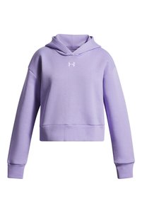 صورة المنتج ذات الصلة Under Armour سويتشيرتات