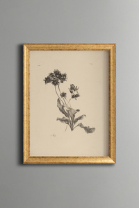 Related product image epiqart Paintings